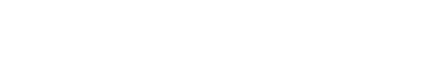 The Ping Pong Spot logo